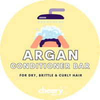 Travel Size Argan Conditioner Bar Shampoo &