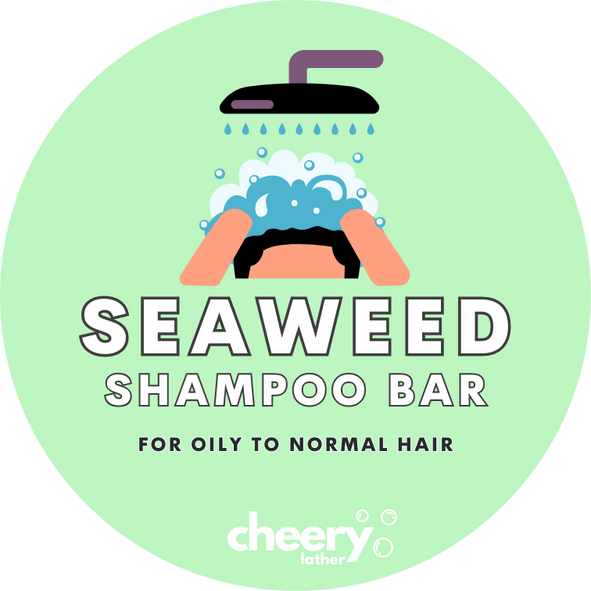Travel Size Seaweed Shampoo Bar